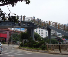 興義市內環路改造立交橋綠化